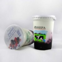 Shefa Forest Fruit Yogurt 500G