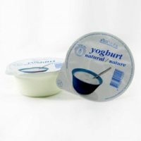 Shefa Natural Yogurt 125G