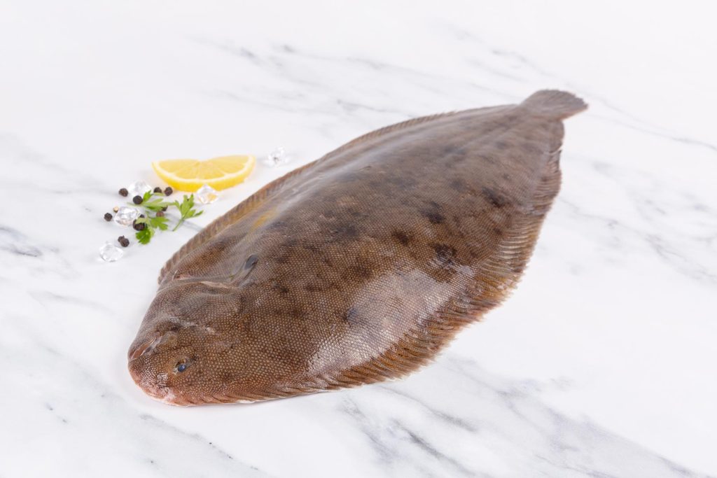 Dover Sole Whole 500600G Kosher food direct to your door